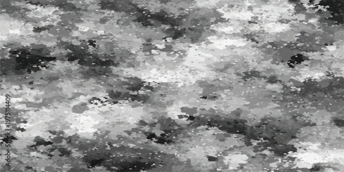 monochrome abstract art inspired by nature, features a layered composition of organic forms. this creates a textured effect that is both visually captivating and evocative.