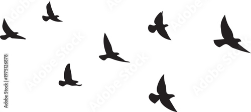 Soaring Silhouettes: A flock of birds takes flight against the boundless sky, their dark silhouettes conveying a sense of freedom, hope, and the journey ahead.png