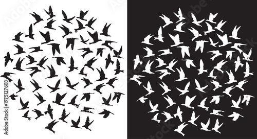 Flight Formation: Witness a mesmerizing dance of birds as they take flight, a symbol of freedom and unity in motion. An artful juxtaposition of black and white evokes a sense of balance.png