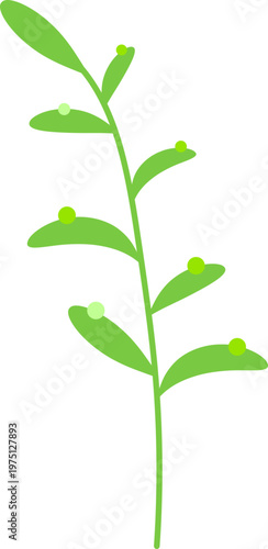 식물-풀-식물 줄기-나물-새싹-잎-나뭇잎-잎사귀-풀잎-허브-봄-그린-이슬-원예-새순 줄기-식물 가지