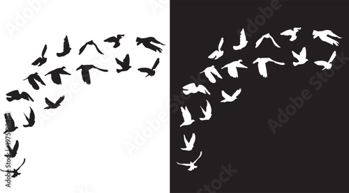 Soaring Symphony: A flock of birds takes flight against a backdrop of stark contrast, evoking a sense of freedom, movement, and the beauty of nature's aerial dance.png