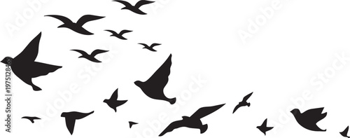 Soaring Silhouettes: A flock of birds, captured in elegant silhouette against the sky, conveying a sense of freedom, travel, and the boundless spirit of nature.png
