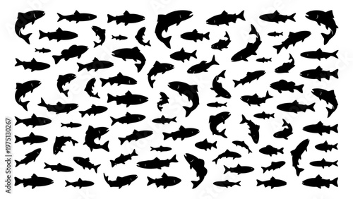 Vintage fish silhouette collection, black textured salmon and trout icons, rustic aquatic animal vector set for fishing and seafood branding