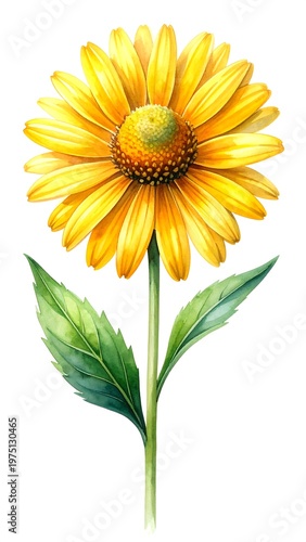 A vibrant watercolor illustration of a single yellow flower with intricate petals and detailed green stem and leaves