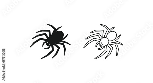 Black And White Spider Comparison Guide Vector