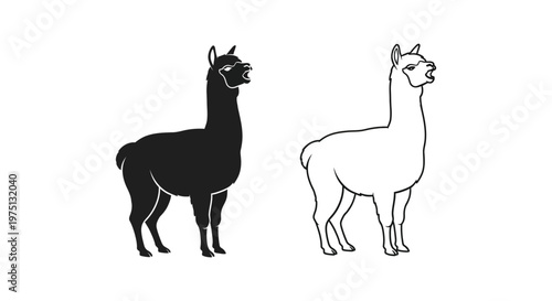 Alpaca vs Llama: Distinctive Features Guide Vector