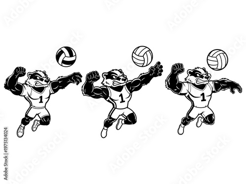 raccoon athlete muscular volleyball mascot vector