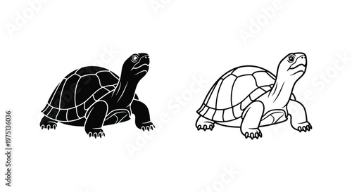 Tortoises: Black and White Drawing Guide Vector