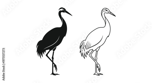 Black and White Crane Bird Silhouettes Vector