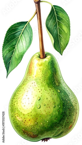 A vibrant watercolor painting depicts a ripe green pear attached to a slender stem with two healthy leaves. Water droplets cling to the fruit's skin