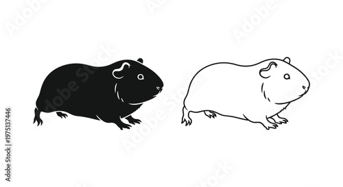 Cute Guinea Pig Illustration Comparison Vector
