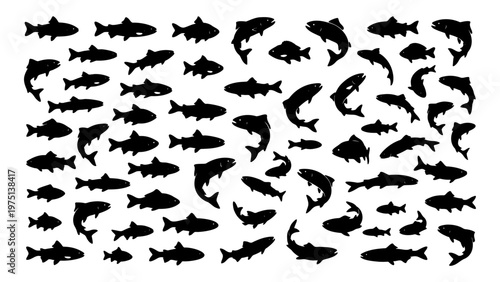 Vintage fish silhouettes collection, set of 60 black aquatic animal icons, rustic hand drawn trout and salmon vector elements for fishing logos