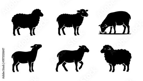 Sheep silhouette vector set, black farm animal icons of lambs and rams, 6 livestock elements for agriculture and wool industry branding