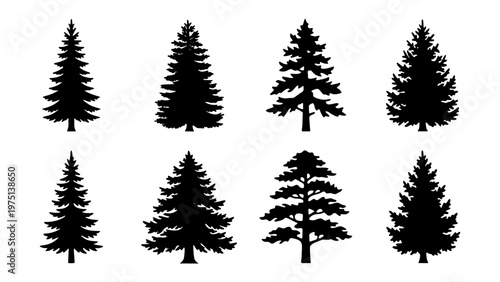 Pine tree silhouette collection, set of 8 evergreen conifer spruce icons, black forest fir tree vector elements for outdoor landscape design