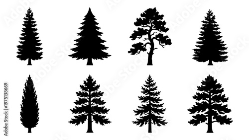 Coniferous tree silhouettes collection, set of 8 pine and spruce vector icons, black evergreen forest plant shapes on white background