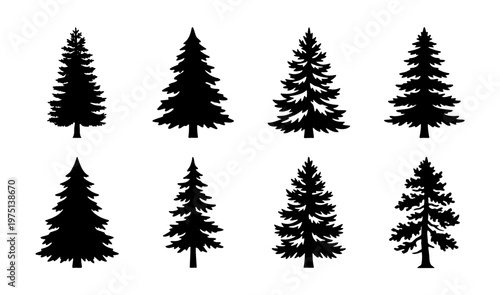 Pine tree silhouette collection, set of 8 evergreen conifer vector icons, black spruce and fir forest elements for winter landscape design