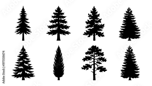 Pine tree silhouettes collection, 8 evergreen conifer vector elements, black spruce and fir tree icons, forest nature graphics for outdoors design