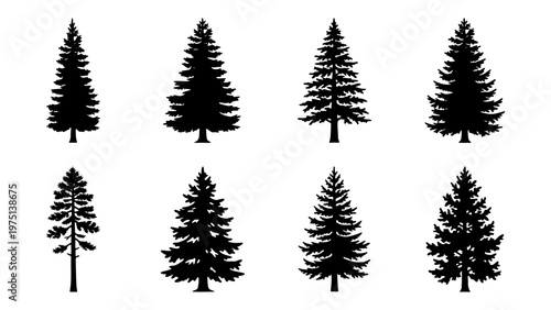Pine tree silhouette collection, 8 evergreen forest tree icons, black conifer spruce and fir vector set for outdoor nature branding and landscape design