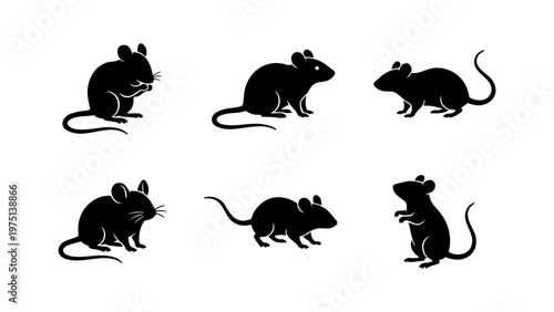 Black mouse silhouette collection, set of 6 rodent vector icons, minimalist rat silhouettes in various poses for logo design and infographics