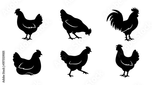 Chicken silhouette vector set, black rooster and hen icons on white background, 6 poultry farm bird elements for logo design and butcher shop branding