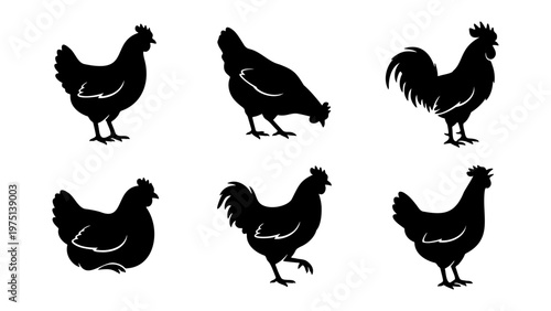 Black chicken silhouette collection, 6 farm bird vector icons, rooster and hen silhouettes for agriculture branding and poultry farm logos
