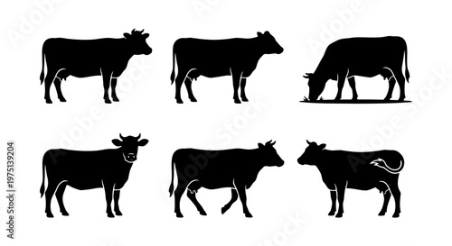 Black cow silhouettes set, collection of 6 cattle vector icons, farm animal grazing and standing poses, livestock dairy cow shapes for butchery and agriculture
