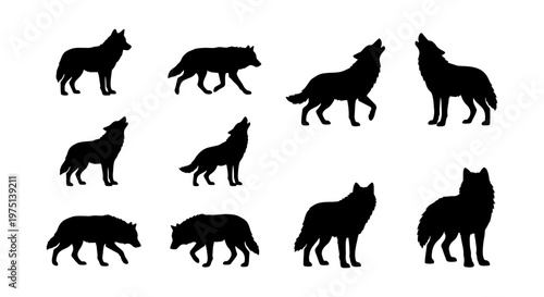 Wolf silhouette collection, set of 10 wild animal vector shapes, howling and walking timber wolf icons, black predatory canine silhouettes on white background