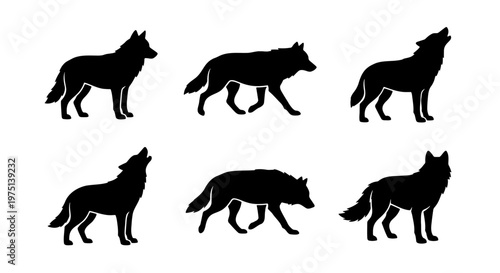 Wolf silhouette collection, set of 6 black timber wolf vector icons, howling and walking wild animal shapes, predatory canine side view graphics