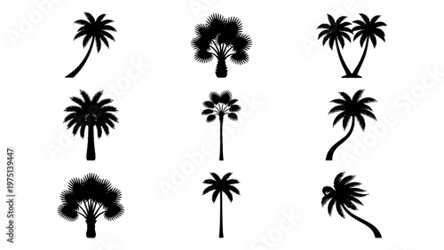 Tropical palm tree silhouettes, set of 9 black vector icons, summer beach flora elements, exotic coconut and fan palm plant shapes for vacation design