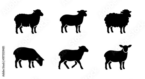 Black sheep silhouettes collection, set of 6 farm animal vector icons, minimalist livestock sheep and lamb profiles for agricultural design