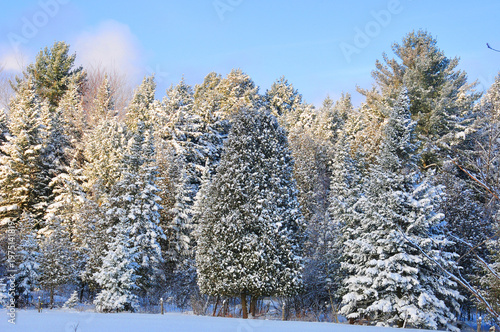 Winter landscape after a snow storm eastern township Quebec Canada