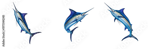 Photos Set of Realistic Marlin and Swordfish Jumping Out of Water Isolated Transparent