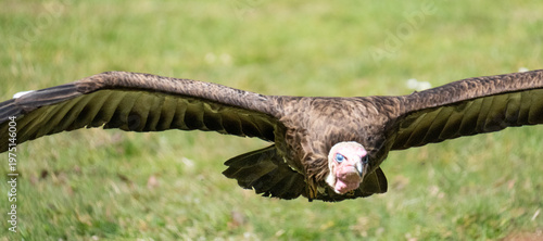 Tiere im Naturpark