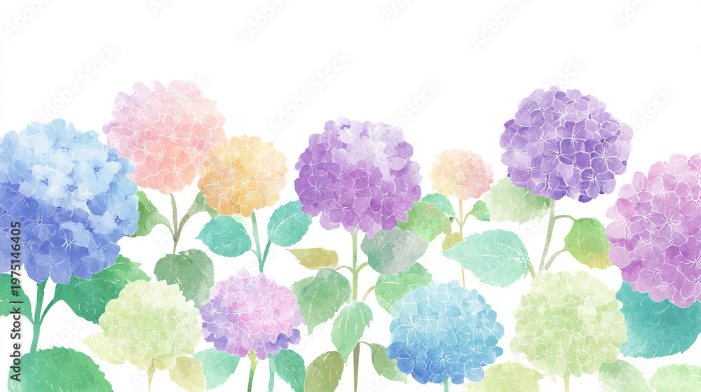 custom made wallpaper toronto digitalwatercolor botanical hydrangea flowers texture template background.Elegant wedding invitation card background . Minimal hand painted Design for wedding or Valentine's Day
