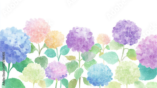 Wallpaper Mural watercolor botanical hydrangea flowers texture template background.Elegant wedding invitation card background . Minimal hand painted Design for wedding or Valentine's Day
 Torontodigital.ca