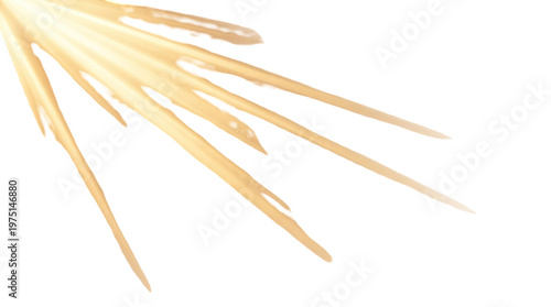 Golden muzzle flash explosion, bright fire spark effect, realistic gun shot flare for action film isolated on Transparent Background