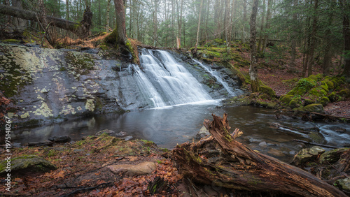 waterfall in the forest