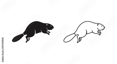 Beaver vs Rodent: Identifying Common Animals Vector
