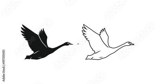 Yin Yang Geese Symbolism & Balance Design Vector