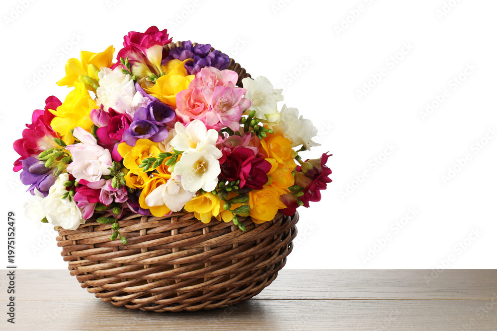 Obraz premium Beautiful freesia flowers in wicker basket on wooden table against white background