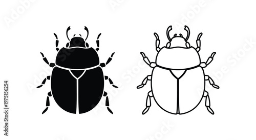 Ladybugs: Black & Spotted vs White Beetle Guide Vector