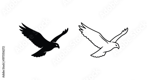 Eagle Symbols: Dual Contrast Black White Flying Birds Design Vector