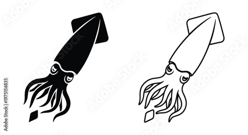 Squid Sketch Art: Deep Sea Creatures Design Vector
