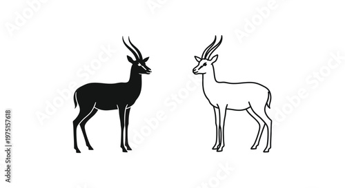 Antelope Species Comparison Guide: Key Differences Vector