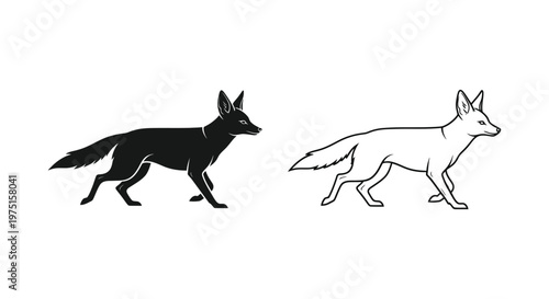 Black Fox vs Red Fox: Canine Comparison Guide Vector
