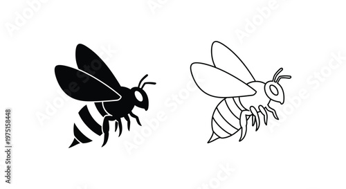 Black and Yellow Bee vs Wasp Illustration Guide Vector