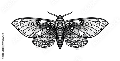A front-facing moth with geometric wing markings rendered in engraved linework and halftone gradients, black and white illustration, newspaper-style dot