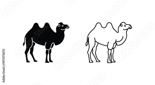 Dromedary vs Bactrian Camel Illustration Guide Vector