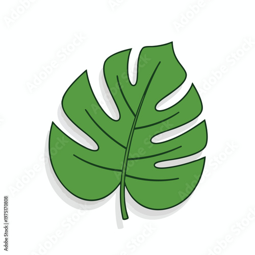 A green, stylized leaf with natural curves and cutouts, isolated on white
