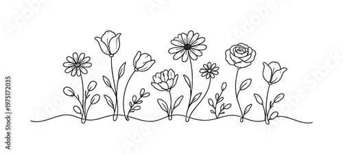 "Wild Garden Flowers". Minimalistic one-line drawing assorted small flowers growing naturally with minimal